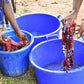 Batik Fabric Making Workshop (Group Trainings)
